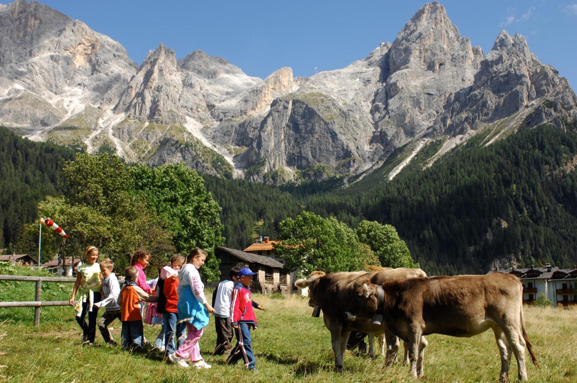 Sporting Aparthotel San Martino Di Castrozza Exteriér fotografie